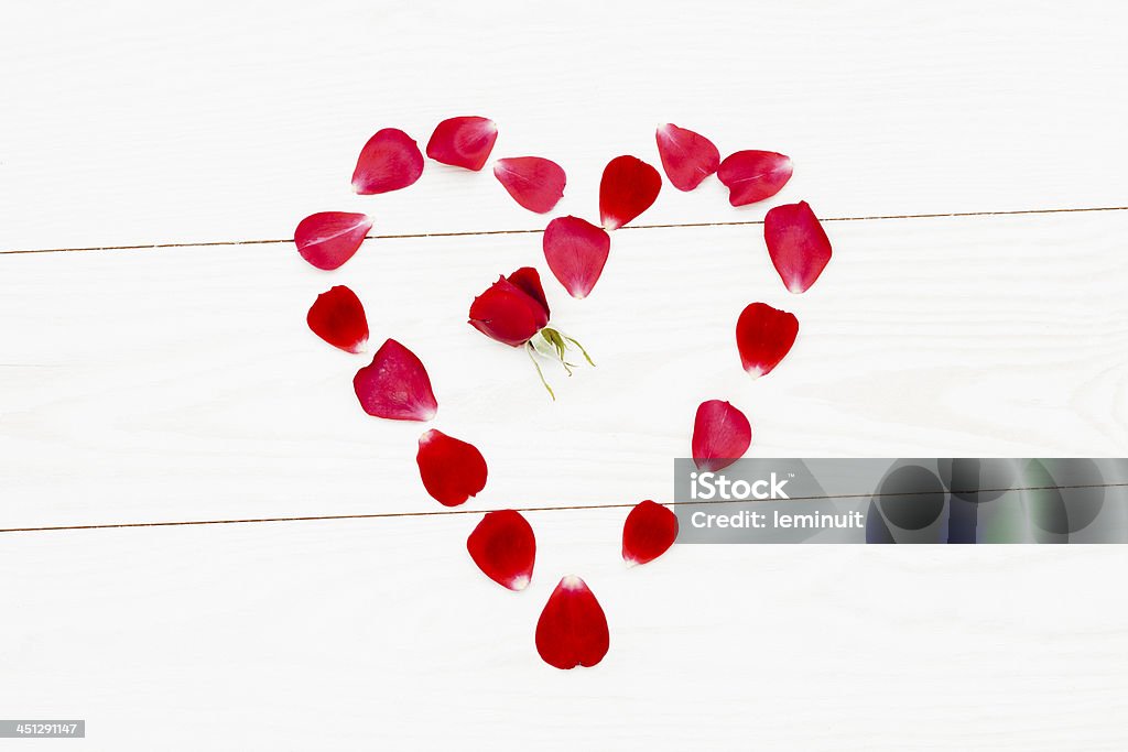 Płatki róży Miłość - Zbiór zdjęć royalty-free (Bez ludzi)