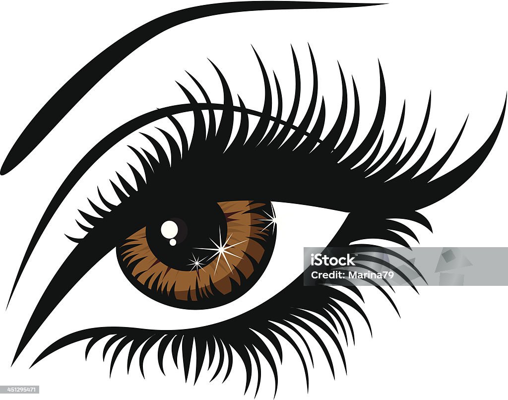 Beautiful female brown eyes Eyelash stock vector