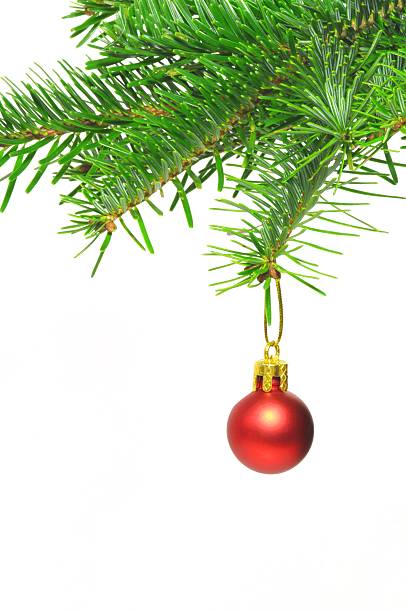 istock christmas branch with ball 451296841