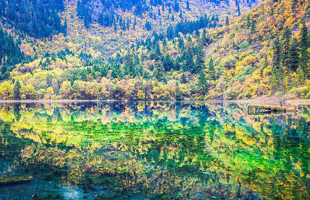 istock colorful lakes in jiuzhaigou valley 451299363