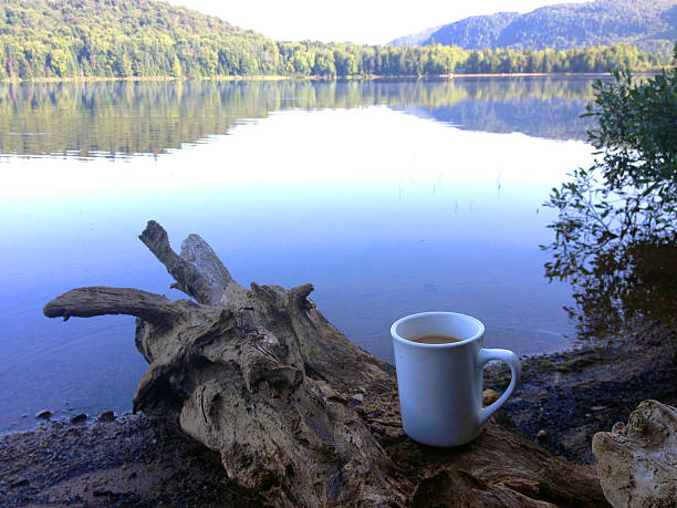 Café com vista - foto de acervo