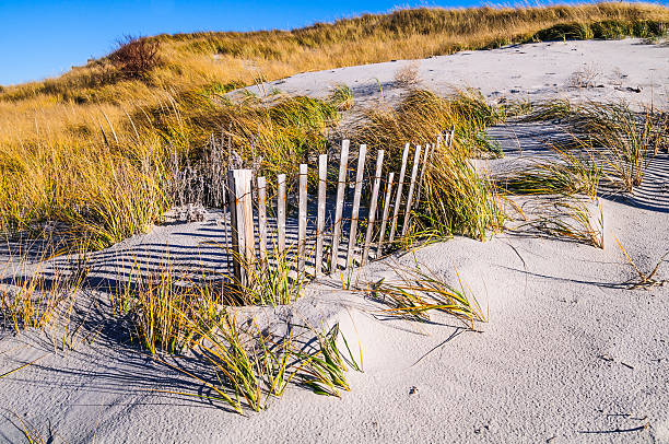 istock Sand Fence in the Dunes 451301563