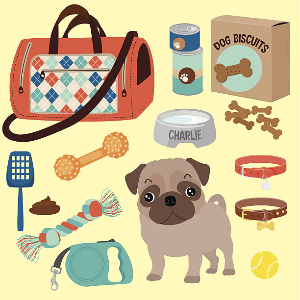 bildbanksillustrationer, clip art samt tecknat material och ikoner med pug puppy and his accessories - hundgodis
