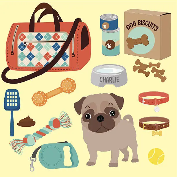 Vector illustration of Pug puppy and his accessories