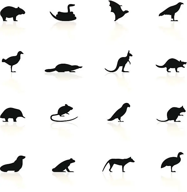 Vector illustration of Vector set of Tasmanian animal icons