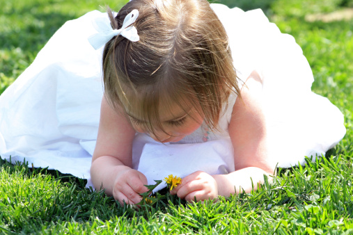 Cute Little Girl sitting on the grass