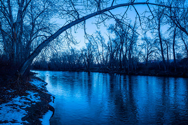 река бойсе в зимний - bare tree environment nature boise стоковые фото и изображения