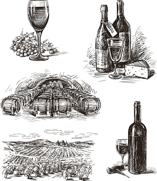 wina z winogron - cheese wine white background grape stock illustrations