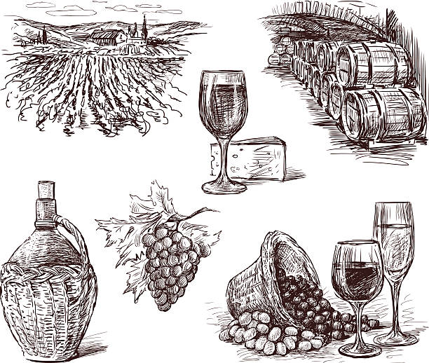 wina z winogron zdjęcia - cheese wine white background grape stock illustrations