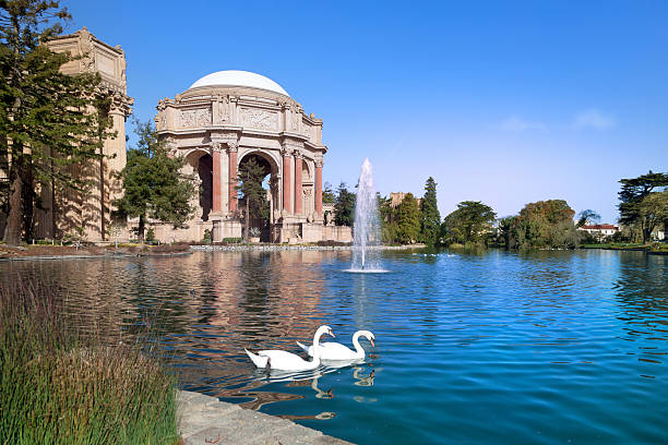 The Palace of Fine Arts was built for the 1915 Panama-Pacific International Expo, which San Francisco hosted. The Palace of Fine Arts remains a beautiful picturesque oasis that lures tourists in with its simplistic beauty.
