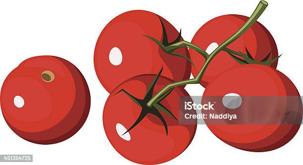 Kirschtomaten Vektorillustration Stock Vektor Art und mehr Bilder von Kirschtomate - Kirschtomate, Ast - Pflanzenbestandteil, Freisteller – Neutraler Hintergrund