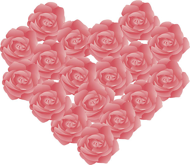 roses arrange in love shape vector art illustration