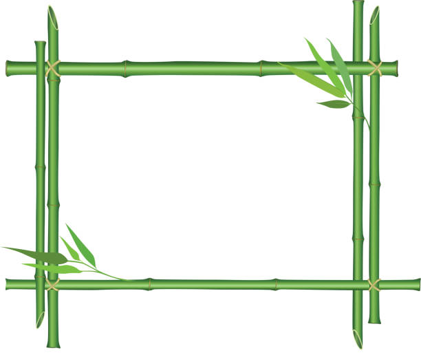 łodyg bambusa kwiatowy granicy z kopia miejsce - siding white backgrounds pattern stock illustrations