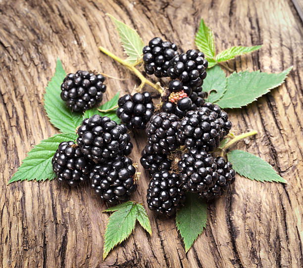 istock Blackberries on wooden background. 451359755