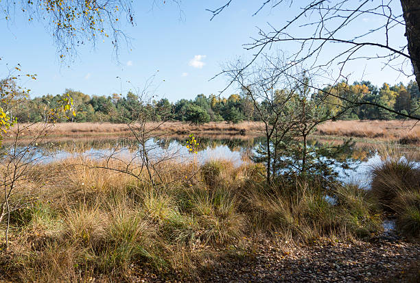 istock nature area gilderhauser venn 451359773