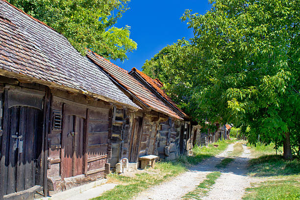 istock Historic cottages road in Croatia 451360909