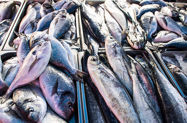 Fresh Fish Fresh fish in a market lampuga in market stock pictures, royalty-free photos & images