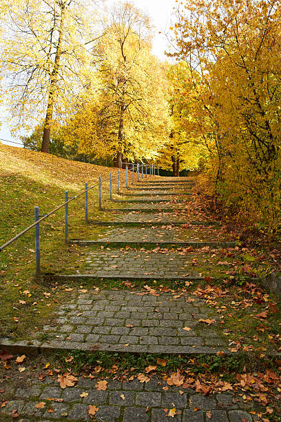 istock Relaxing staircase with leaves in the autumn park. 451407205