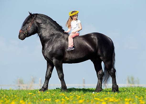istock Child riding a big black horse in pasture. 451411059