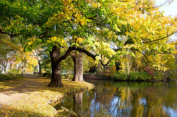 istock Autumn park in the city  Hanover 451412299