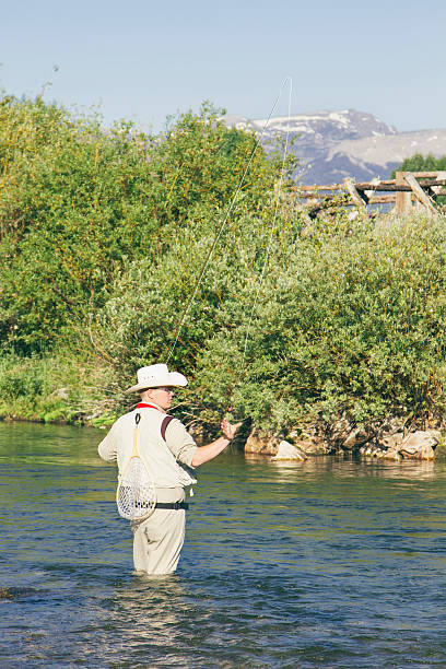 istock Fisherman fly fishing 451412625