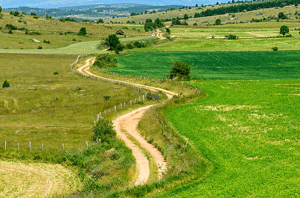 Small Footpath In A Countryside Scene In The Southwest Of England