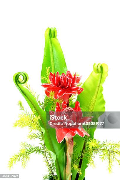 Flor Tropical De Etlingera Elatior Rojo Foto de stock y más banco de imágenes de Asia - Asia, Bali, Botánica