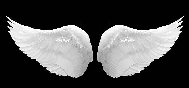 istock White angel wings on a black background 451416945