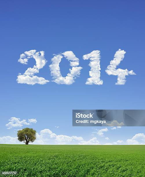 New Year 2014 And Field Stock Photo - Download Image Now - 2014, Agricultural Field, Backgrounds