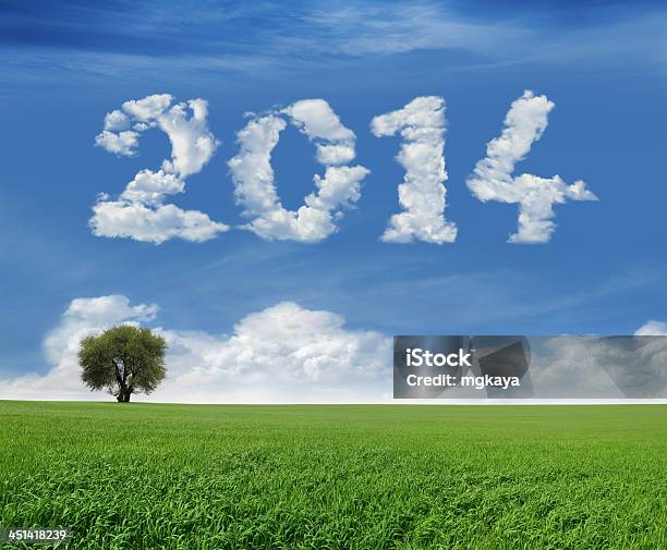 Neujahr 2014 Und Field Stockfoto und mehr Bilder von 2014 - 2014, Abgeschiedenheit, Baum