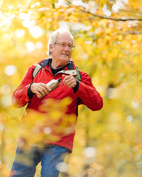 istock Senior Hiker in the forest 451419099