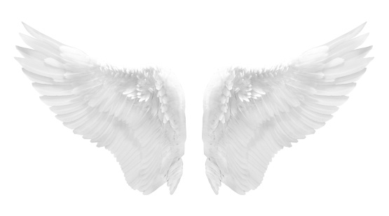 Blanco alas de ángel aislado photo