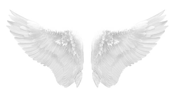 blanco alas de ángel aislado - alas angel fotografías e imágenes de stock