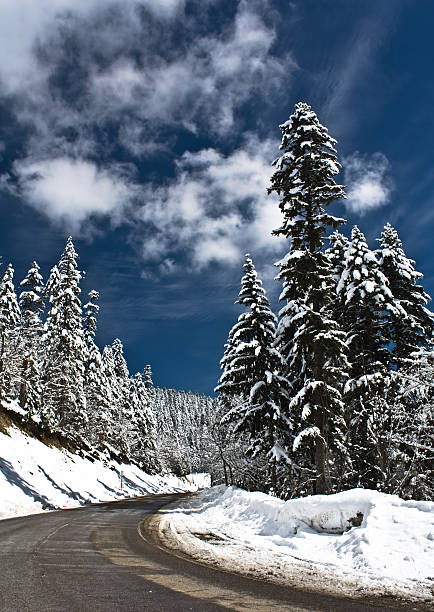 istock Cold and snowy winter road 451430755