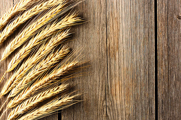 istock Rye spikelets on wooden background 451455569