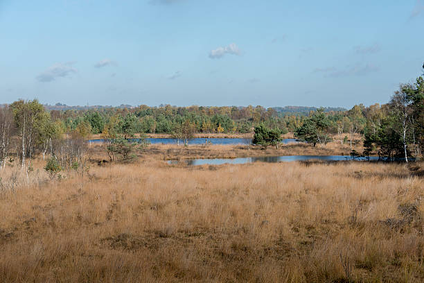 istock nature area gilderhauser venn 451499955