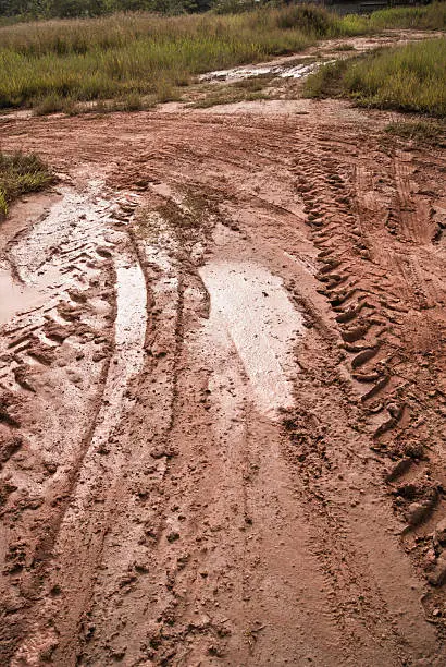 mud and tire tracks