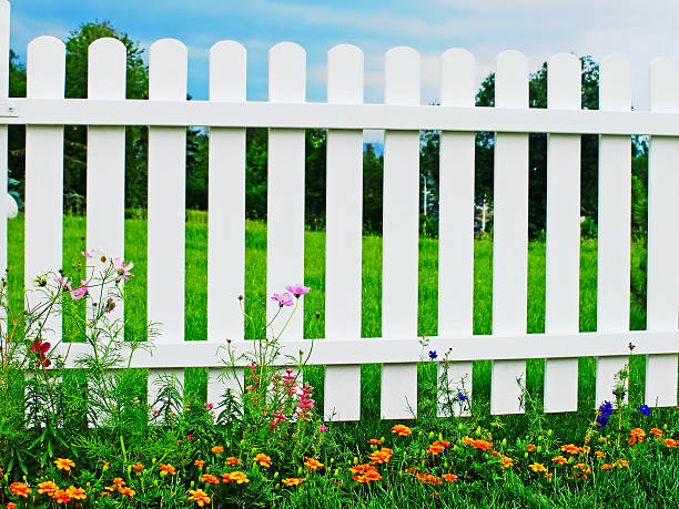 istock White fence on green grass with flowers. 451518223