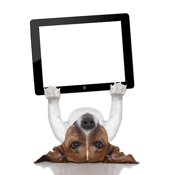 istock Graphic of a dog lying supine while holding up a tablet 451520967