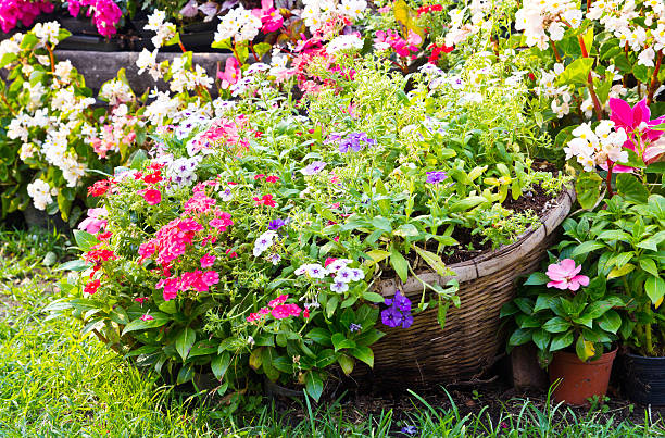 istock Flowers in the basket 451537185