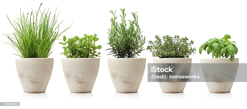 variaty of cooking herbs in pots Flower Pot Stock Photo