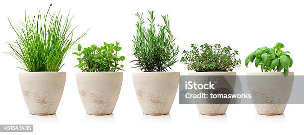 Variaty Of Cooking Herbs In Pots Stock Photo - Download Image Now - Flower Pot, Herb, Cooking Pan