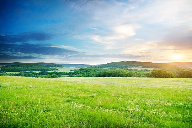 Green meadow in mountain. Green meadow in mountain. Composition of nature. grassland in morning sunrise stock pictures, royalty-free photos & images