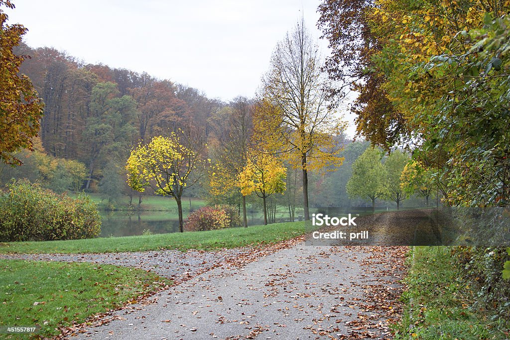 autumn scenery idyllic rural autumn scenery in Southern Germany Agricultural Field Stock Photo