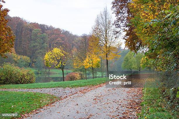 Autumn Scenery Stock Photo - Download Image Now - Agricultural Field, Agriculture, Autumn