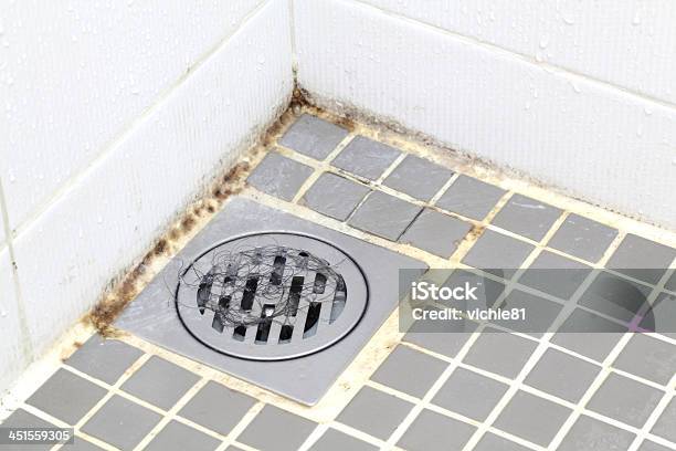 Mold In Bathroom Stock Photo - Download Image Now - Bathroom, Closet, Dirty