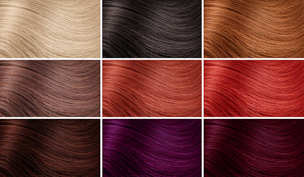 Example of different hair colors Example of different hair colors hair colour stock pictures, royalty-free photos & images
