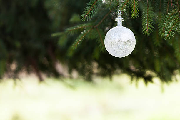 Tree Buble 80+ Thought Buble Pictures Stock Photos, Pictures & Royalty-Free Images ...