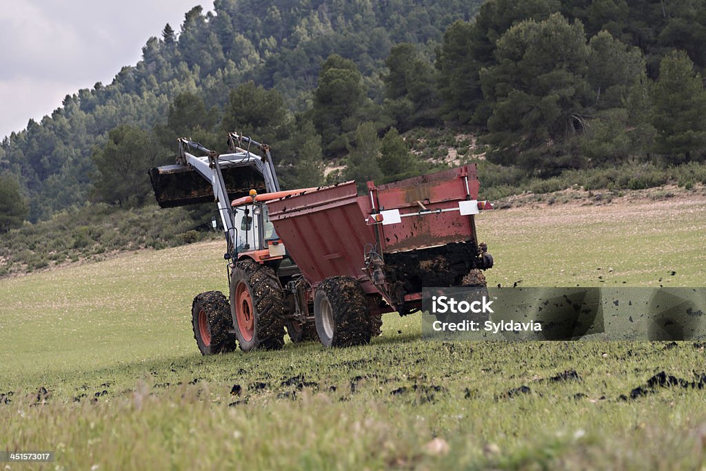 Tractor Tractor spreading manure Fertilizer Stock Photo