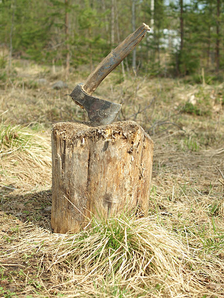 istock Photo of axe in the stump 451583357